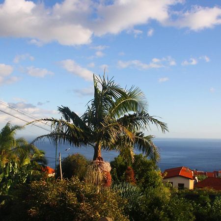 Lugar Dos Louros 2 Apartment Estreito Da Calheta Bagian luar foto