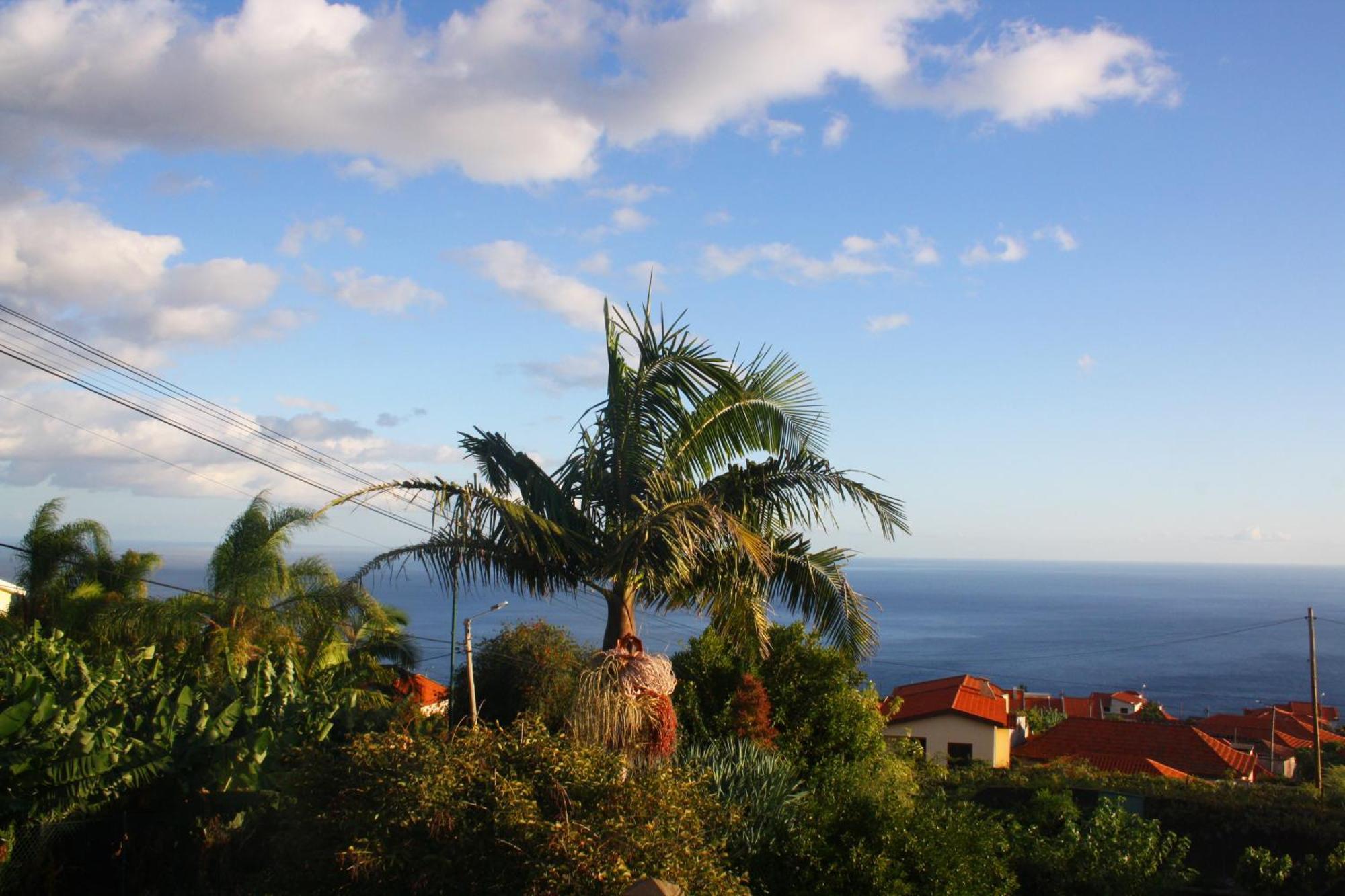 Lugar Dos Louros 2 Apartment Estreito Da Calheta Bagian luar foto