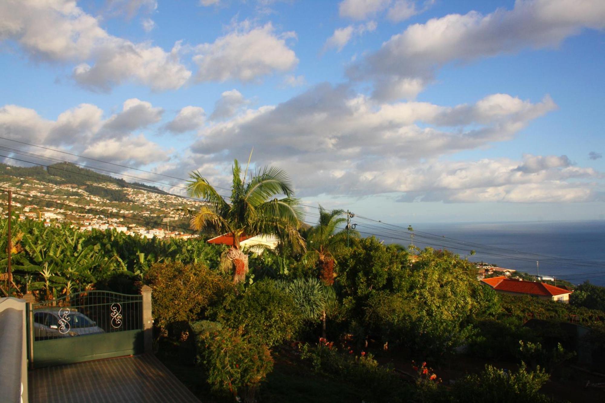 Lugar Dos Louros 2 Apartment Estreito Da Calheta Bagian luar foto