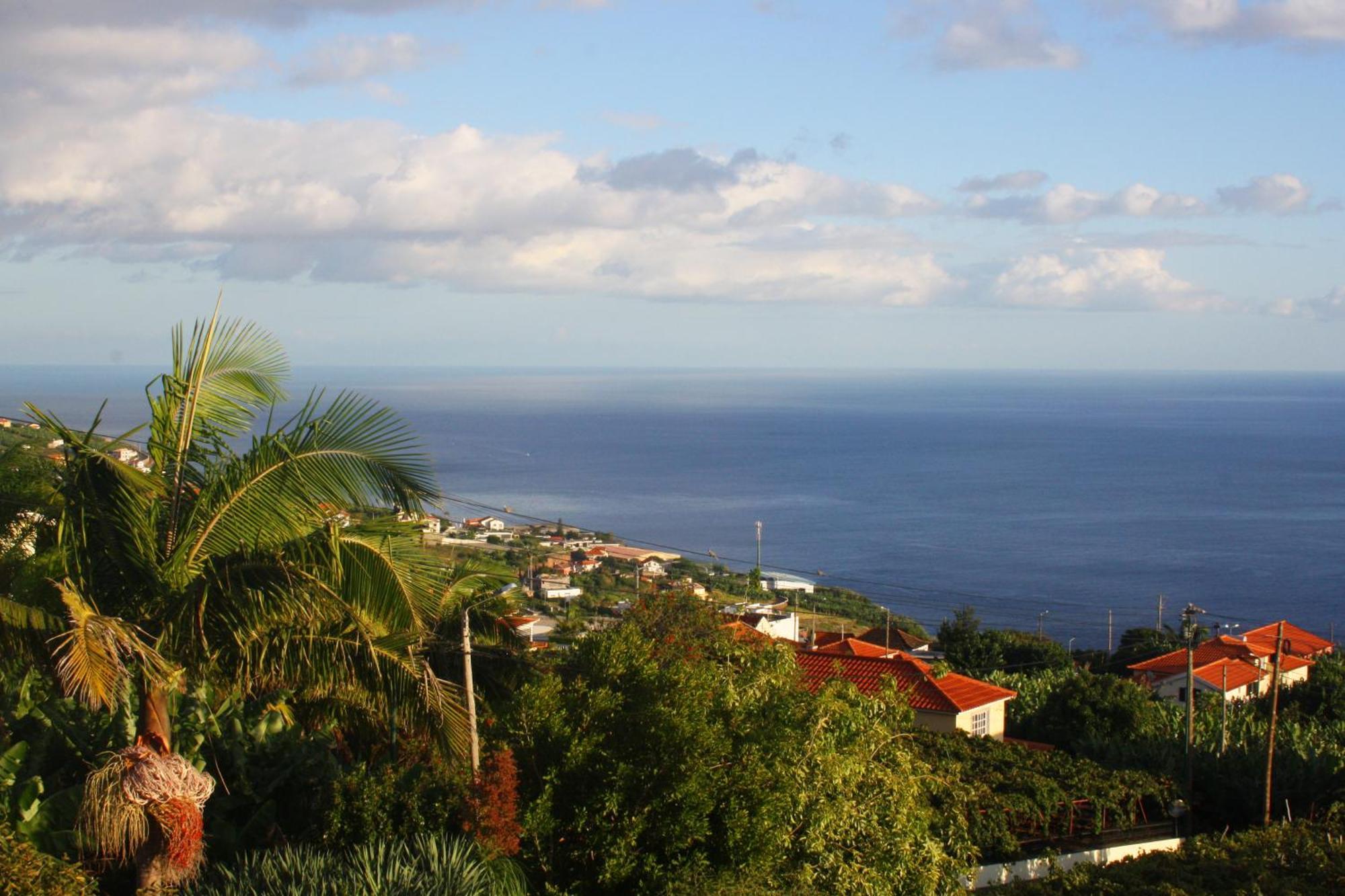 Lugar Dos Louros 2 Apartment Estreito Da Calheta Bagian luar foto